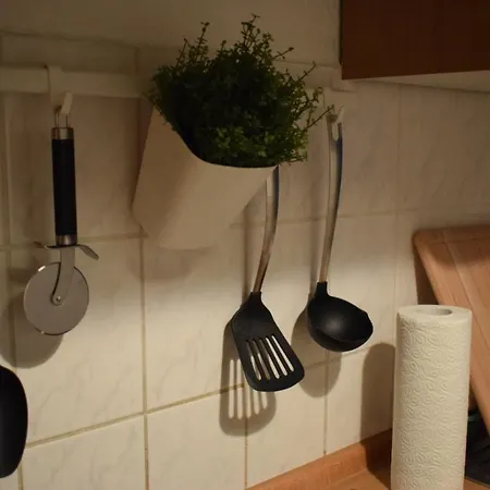 Gemutliches Altbau-apartment In Arena-nahe